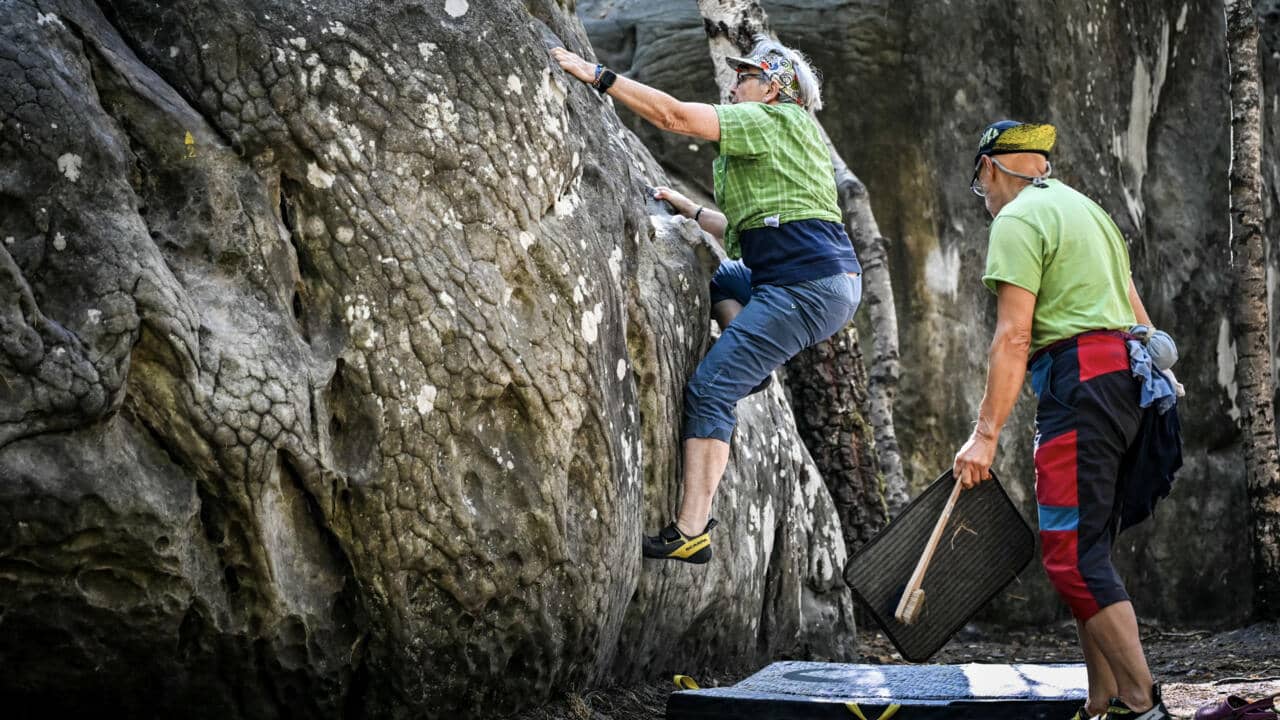 غابة فونتينبلو بباريس تفتح أبوابها بعد كارثة الحريق
