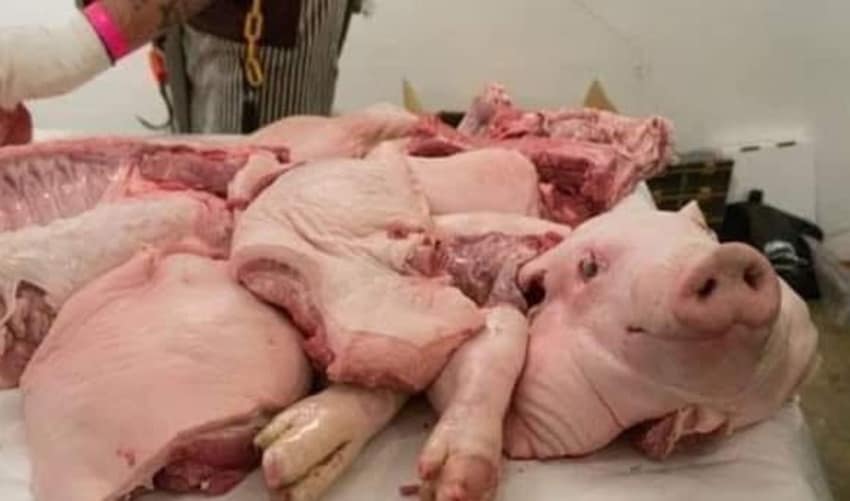 صحة ذي قار تنفي ضبط لحوم خنزير في مطعم بالناصرية